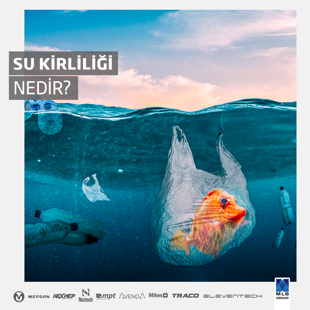 Su Kirliliği Nedir?